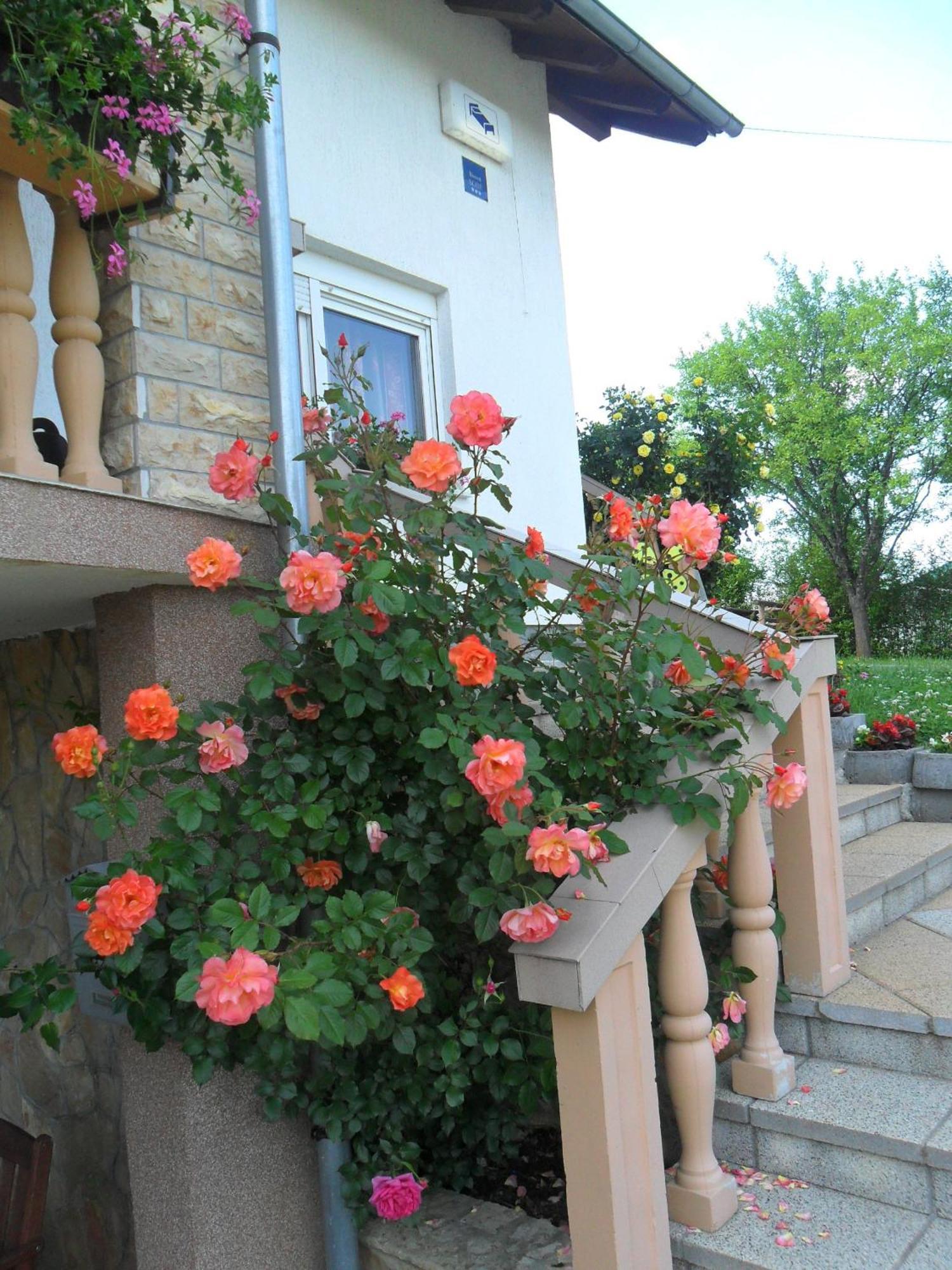 Guesthouse Sara Grabovac  Ngoại thất bức ảnh