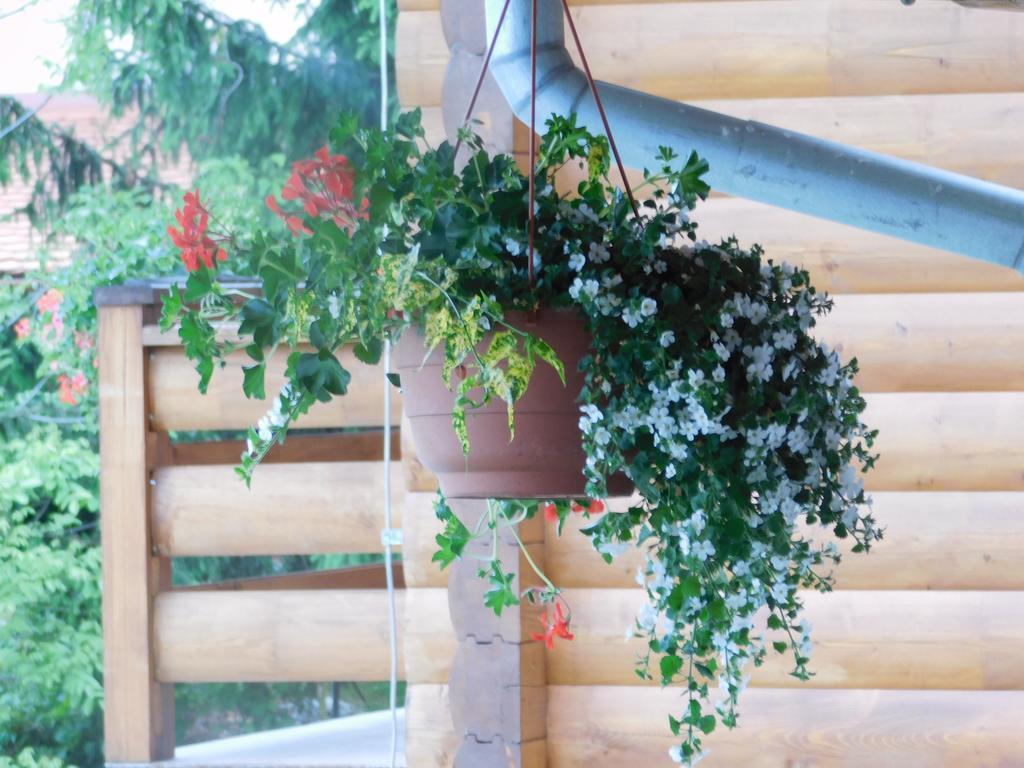Guesthouse Sara Grabovac  Ngoại thất bức ảnh