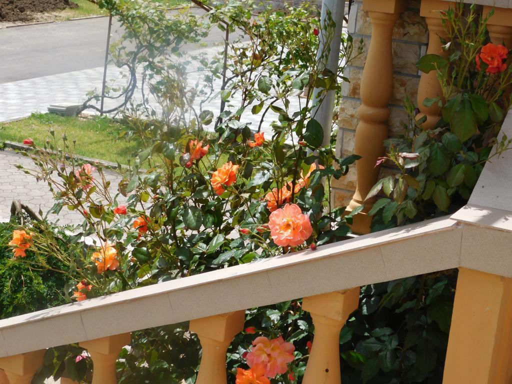 Guesthouse Sara Grabovac  Ngoại thất bức ảnh